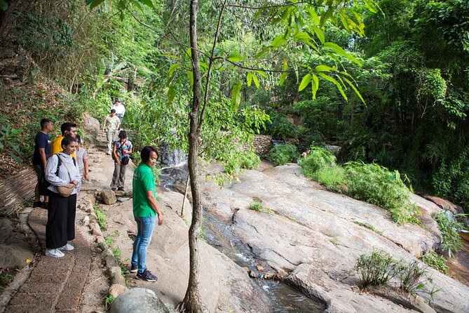 Doi Suthep and Wat Pha Lat Sunrise Private Tour – Half Day - Wat Pha Lat: where the jungle-side calm actually shows up