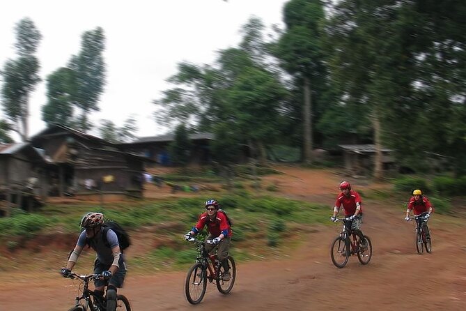Doi Suthep National Park To Chiang Mai Beginner Downhill Mountain Biking - Guides and safety gear: why riders feel secure on steep terrain