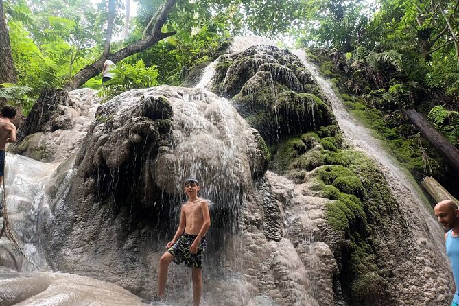 Doi Suthep Temple, Pha Lat Temple, Sticky Waterfall, Orchid farm - Orchid and butterfly farm: a colorful breather between temples