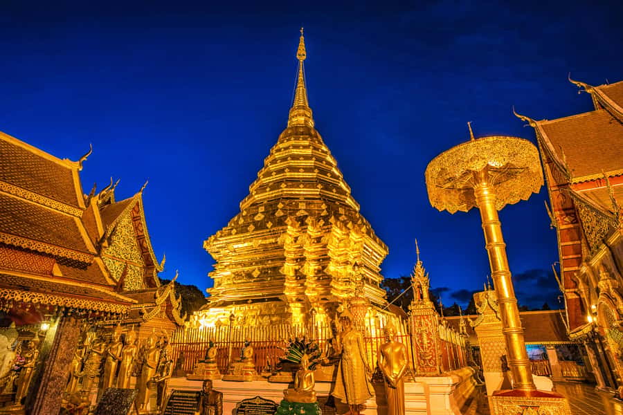 Early morning Doi Suthep with monk chanting and alms - 306 Steps Up to Wat Phra That Doi Suthep, Lit and Calm