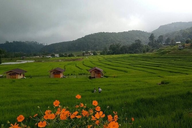 Eco 1.45Hours Hiking @Pha Dok Siaw + Doi Inthanon & Royal Project - Should You Book This Tour?