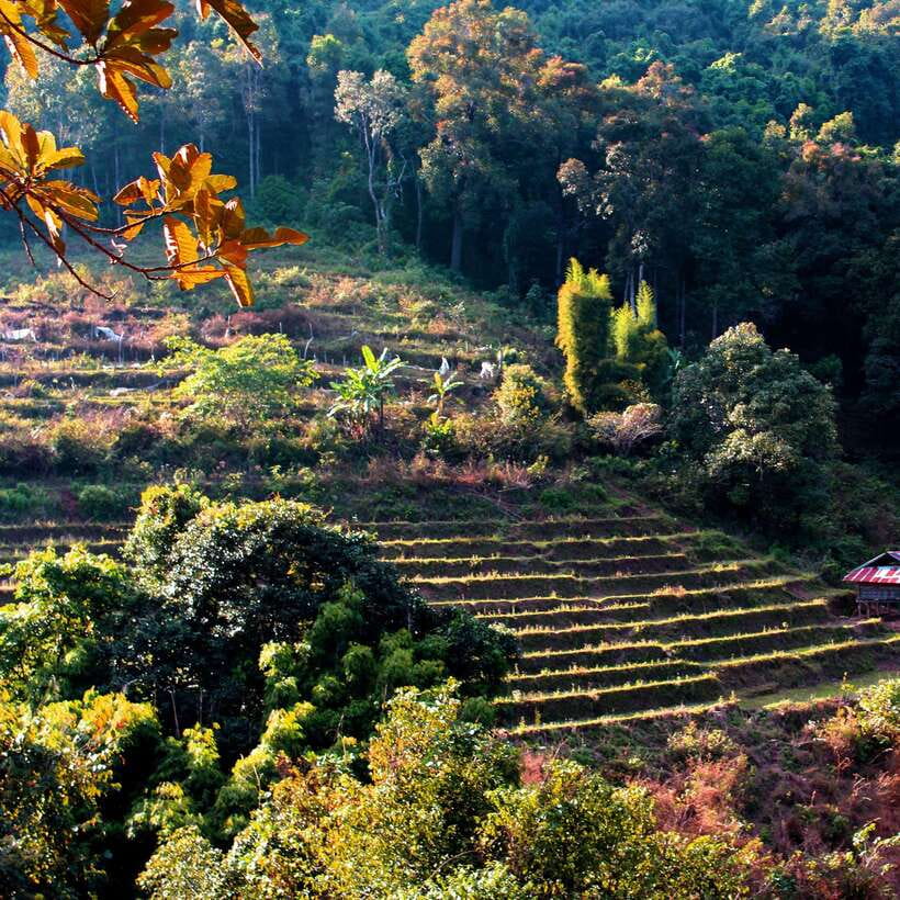 Eco-Friendly: Doi Inthanon & Pha Dok Siew Trekking Day Trip - Key things that make this trek day trip worth it