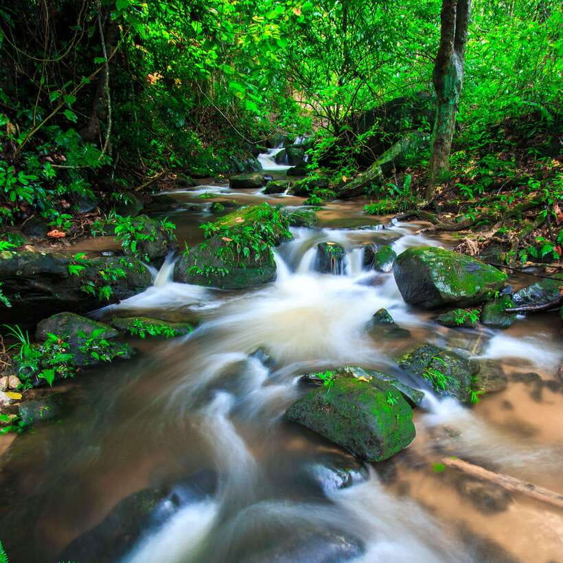 Eco-Friendly: Doi Inthanon & Pha Dok Siew Trekking Day Trip - Price and logistics: what $54 really buys