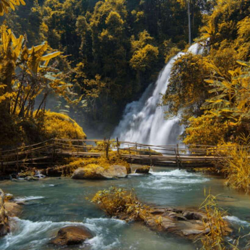 Eco-Friendly: Doi Inthanon & Pha Dok Siew Trekking Day Trip - The King and Queen pagodas: the view stop you will remember