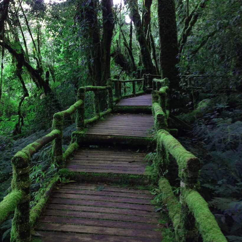 Eco-Friendly: Doi Inthanon & Pha Dok Siew Trekking Day Trip - Hmong Market and the hill-tribe village stops: cultural context with minimal fuss