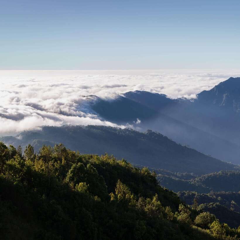 Eco-Friendly: Doi Inthanon & Pha Dok Siew Trekking Day Trip - Who this eco-friendly Chiang Mai trekking day trip fits best