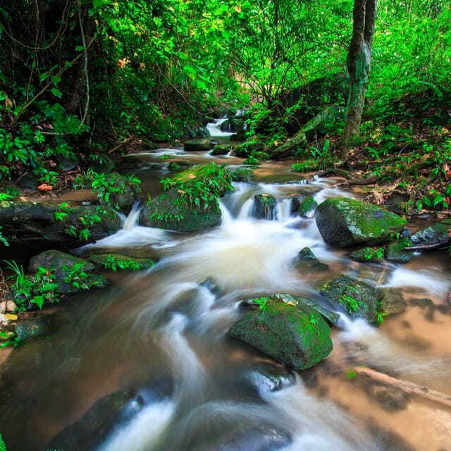 Eco-Friendly: Doi Inthanon & Pha Dok Siew Trekking Day Trip - What to bring so the day feels comfortable
