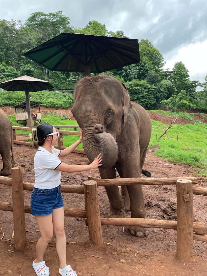Elefin Farm & Cafe Half-day tour with Private Car - Key points before you go
