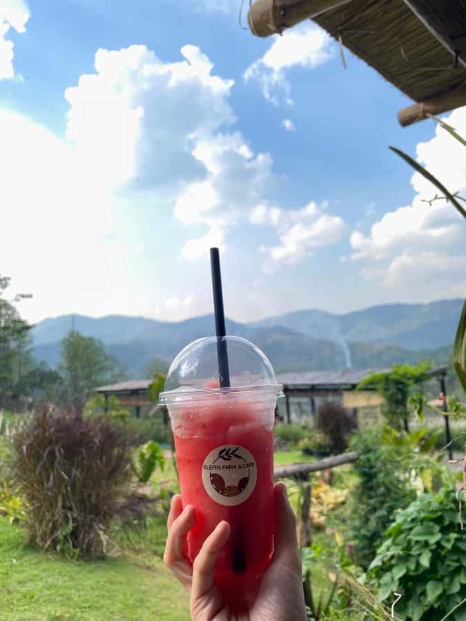 Elefin Farm & Cafe Half-day tour with Private Car - FAQ