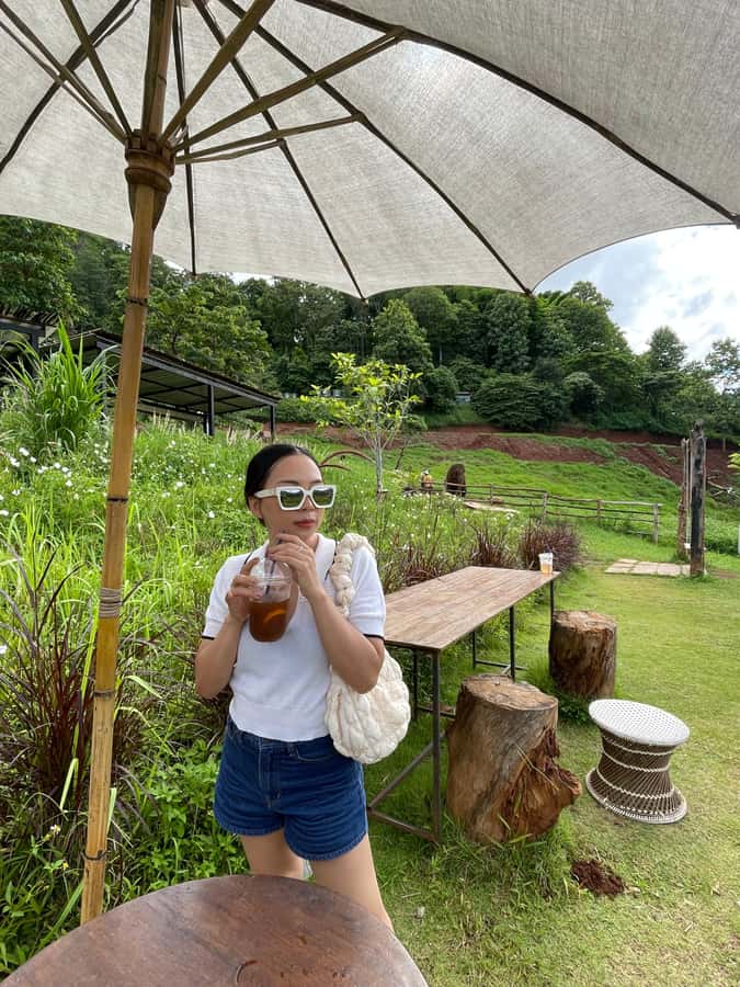 Elefin Farm & Cafe Half-day tour with Private Car - Should you book this half-day Elefin Farm and Wat Doi Kham combo?