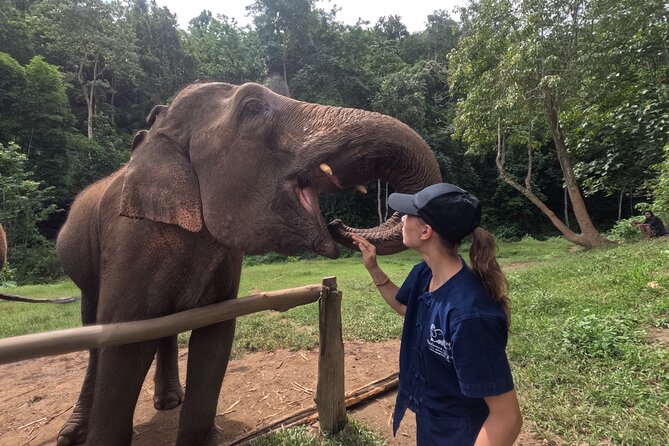 Elephant care program at CHIANGMAI ELEPHANT CARE - Key things I’d plan around