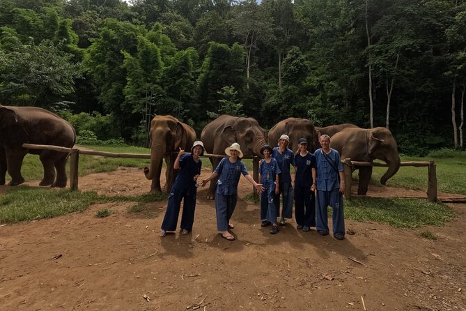 Elephant care program at CHIANGMAI ELEPHANT CARE - Feeding and making elephant protein supplements up close