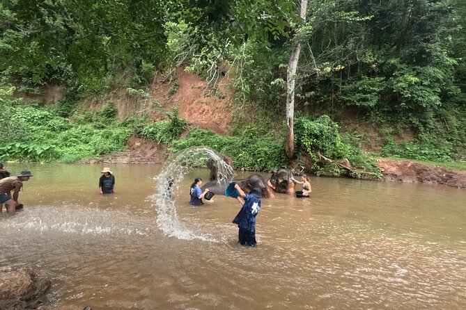 Elephant care program at CHIANGMAI ELEPHANT CARE - Hotel pickup and the countryside drive (timing that actually helps)