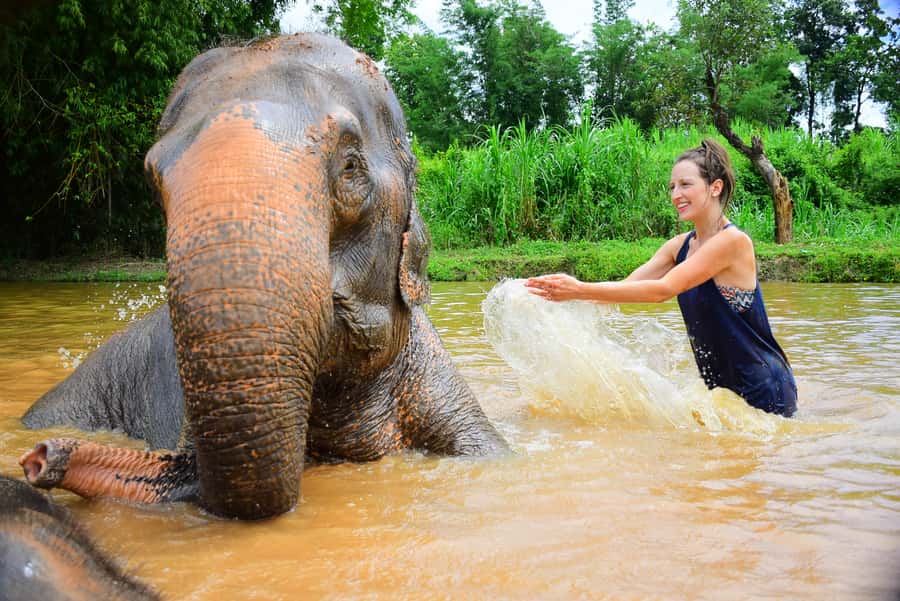 Elephant care with Wat Umong, Doi Suthep and Night City view - How the schedule really feels, from pickup to 9 pm return