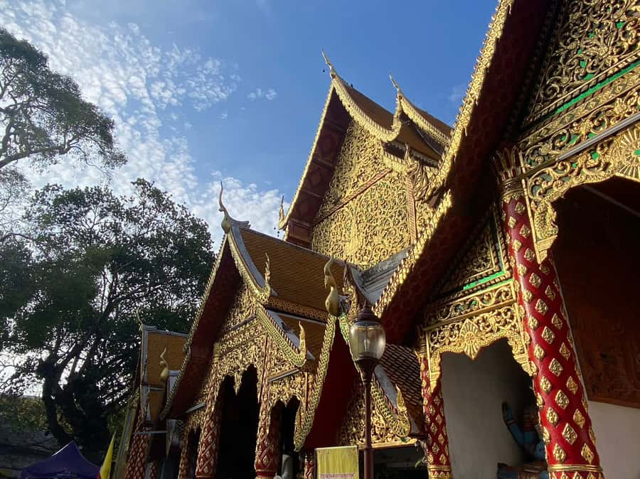 Elephant care with Wat Umong, Doi Suthep and Night City view - Wat Umong tunnel temple: forest calm and a different kind of sacred space