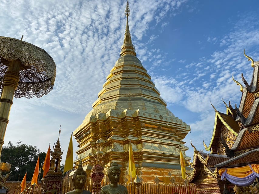Elephant care with Wat Umong, Doi Suthep and Night City view - Doi Suthep at night: temple time plus Chiang Mai city views