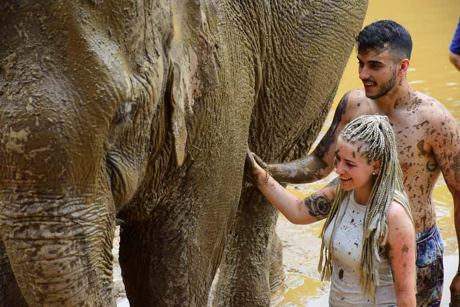Elephant care with Wat Umong, Doi Suthep and Night City view - Elephant Retirement Park Chiang Mai: an animal-focused program with guidance