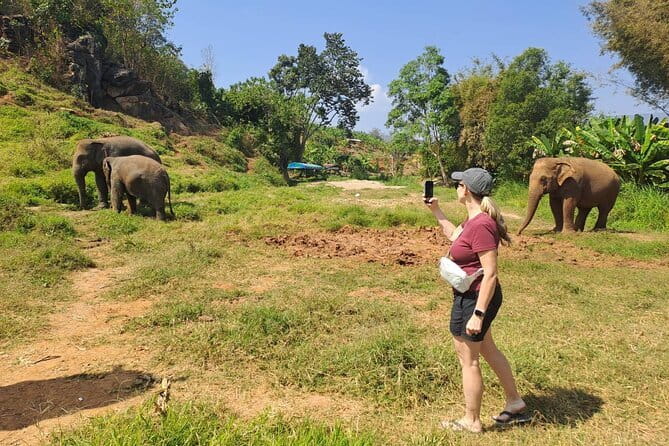 Elephant Sanctuary, Wat Ban Den & Sticky Waterfall - Price and value: what $58.66 buys you in a full-day itinerary