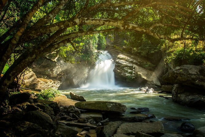 Elephant Sanctuary + Waterfall + Bamboo Rafting One Day Trip - A One-Day Circuit From Chiang Mai City (8 to 10 Hours)