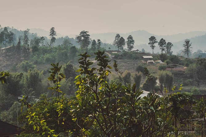 Elephant Sightings , Bamboo Rafting Through The Jungle, Swimming In a Waterfall - Price and Value: What Your $97.50 Gets You