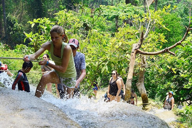 Experience Elephant Sanctuary + Sticky Waterfall - The practical stuff that makes elephant days actually work