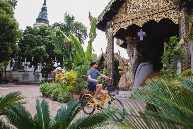 Experience The Real Chiang Mai by Bike - Market district time, coconut water, and street food breaks