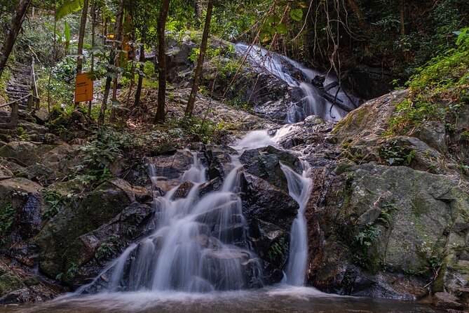 Explore Mae Kampong Village from Chiang Mai City - Mae Kampong Waterfall: a focused 1-hour nature break