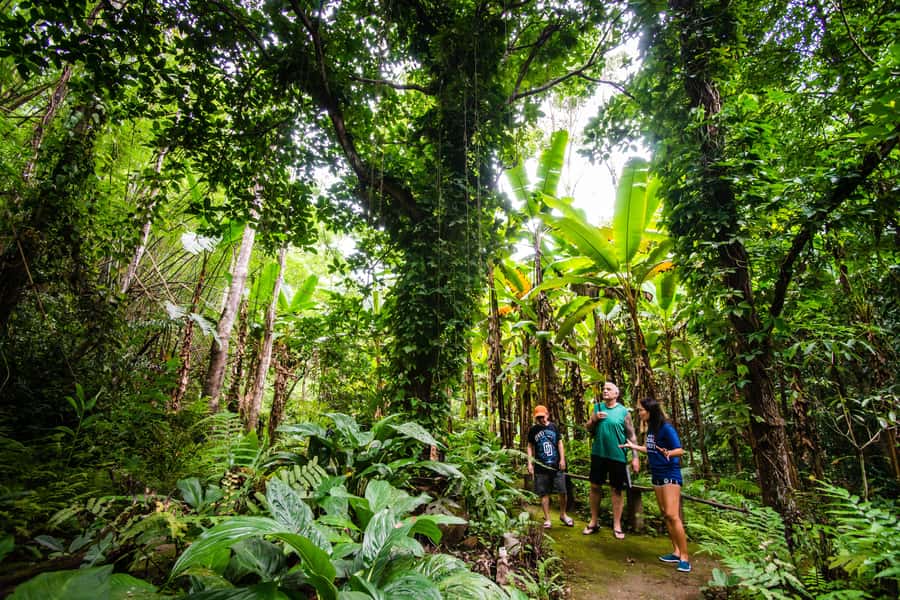 Explore Sri Sangwan Waterfall and Giant Cave I Chiang Mai - Practical Tips So You Enjoy Every Part