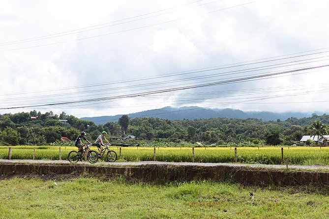 FIELDS OF GOLD Mountain Biking Tour Chiang Mai - How This Chiang Mai MTB Tour Gets You Out Past the Usual Trails