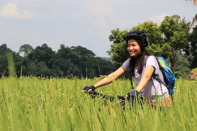 FIELDS OF GOLD Mountain Biking Tour Chiang Mai - Your 7-Hour Route: Mok Fa Waterfall, Coffee Stop, and the Riding in Between