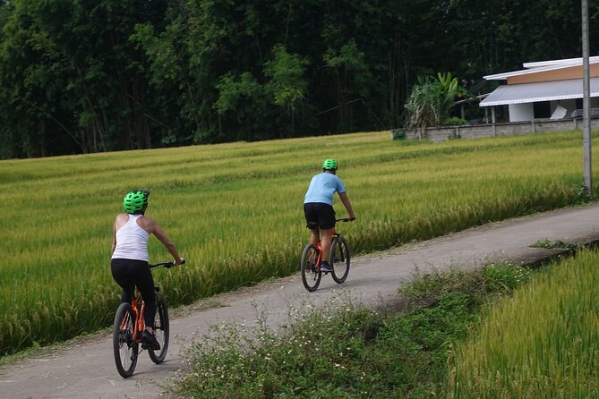 FIELDS OF GOLD Mountain Biking Tour Chiang Mai - Food, Fruit, and Drinks: What’s Included and What to Watch For