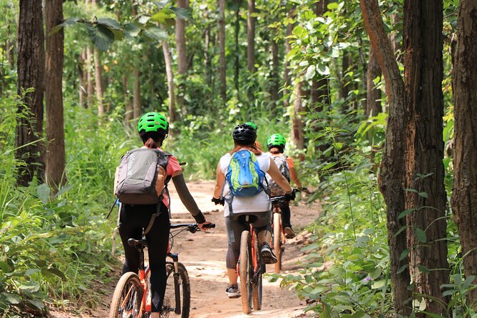 FIELDS OF GOLD Mountain Biking Tour Chiang Mai - Guides and Group Size: Why This Tour Feels More Personal Than You’d Expect