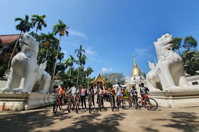 FIELDS OF GOLD Mountain Biking Tour Chiang Mai - Who This Fields of Gold MTB Tour Suits Best