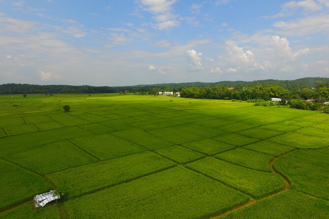 FIELDS OF GOLD Mountain Biking Tour Chiang Mai - Hotel Pickup, Kona Bikes, and Safety Gear That Actually Keeps You Comfortable