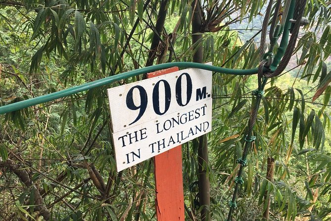 Flight of the Phoenix: Zipline Experience - Who this fits best in Chiang Mai (and who should skip it)