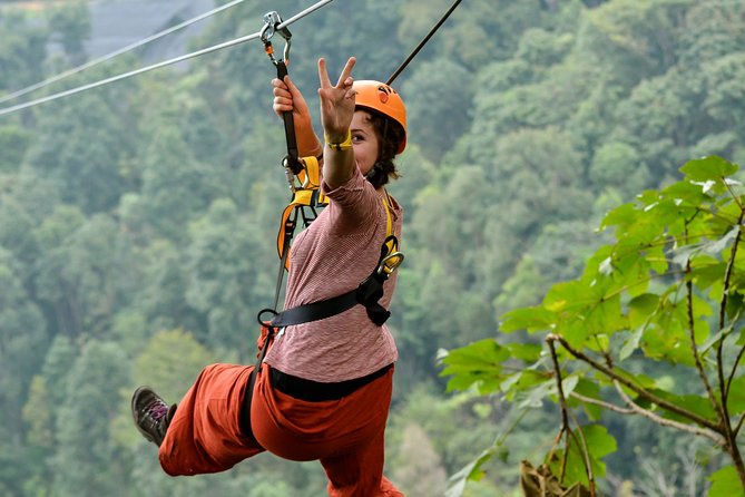 Flight of the Phoenix: Zipline Experience - Price and value: why $32.55 can be a fair deal