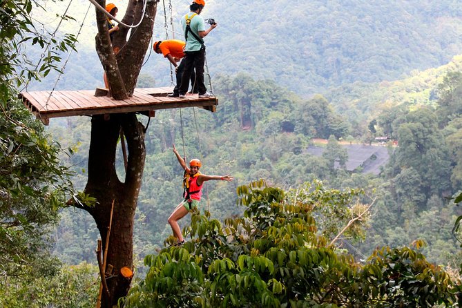 Flight of the Phoenix: Zipline Experience - What you do: Zipline A, Zipline B, and the high-rope course