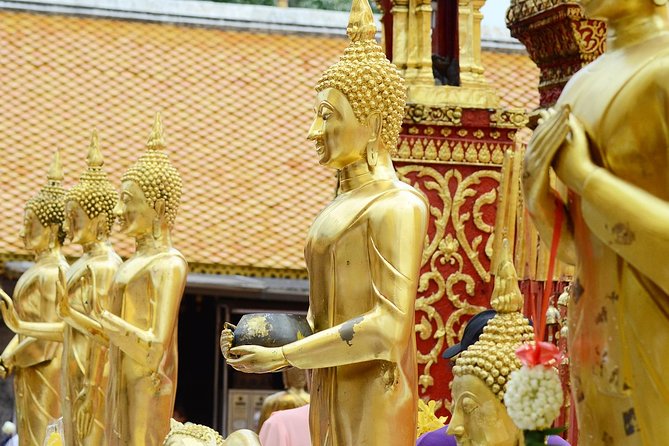 Follow monks trails Hiking & Alms Offering Doi suthep - Who this private Doi Suthep alms hike fits best