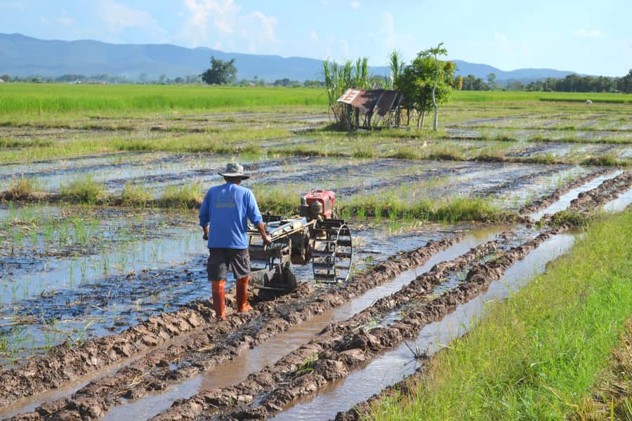 From Chiang Mai: 2 days Cycling & Kayaking tour in Mae Taeng - Getting to Mae Taeng valley from Chiang Mai without wasting the day