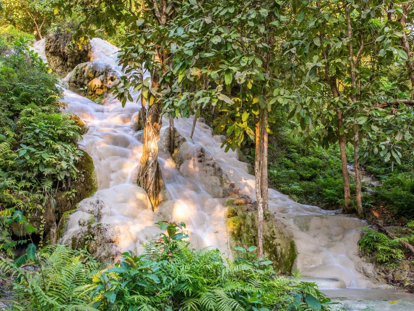 From Chiang Mai: Chiang Dao Cave Trekking Full-Day Tour - Lunch plus Chiang Dao market: real food, not just fuel