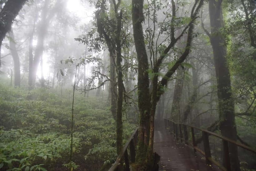 From Chiang Mai: Doi Inthanon National Park Day Trip - Leaving Chiang Mai for mountain air and quick altitude changes
