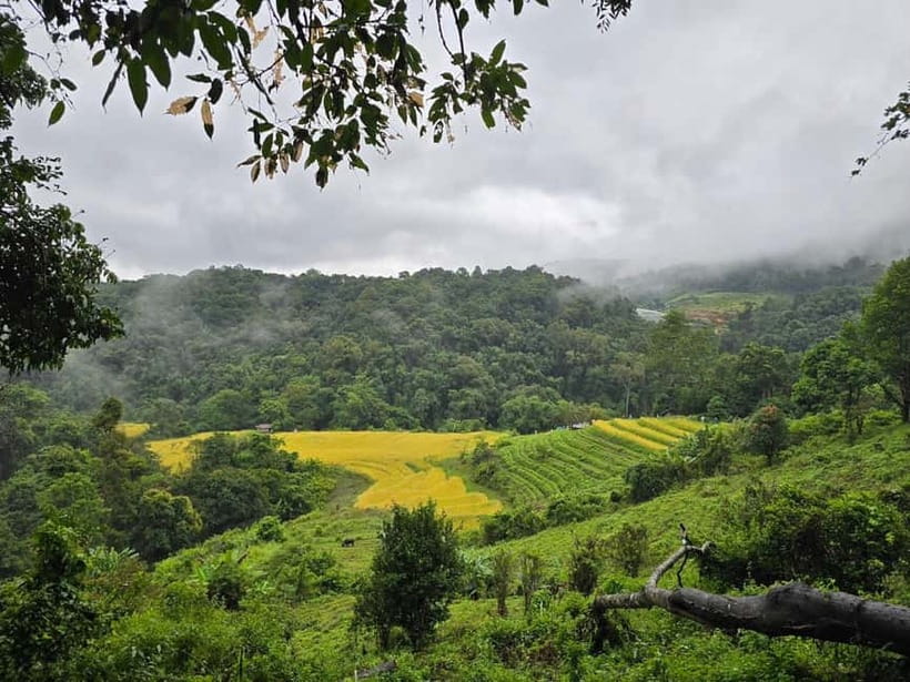 From Chiang Mai: Doi Inthanon National Park Day Trip - Sirithan Waterfall: cool mist and a 40-meter cascade