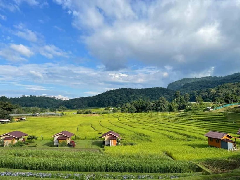 From Chiang Mai: Doi Inthanon National Park Day Trip - How the day flows, and what to watch for on a mountain loop