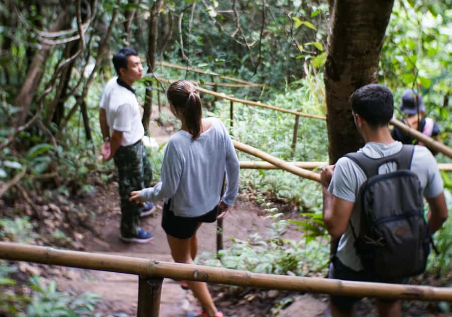 From Chiang Mai: Doi Inthanon National Park Day Trip & Hike - Key highlights worth your attention