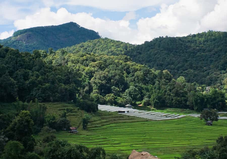 From Chiang Mai: Doi Inthanon National Park Day Trip & Hike - Why Doi Inthanon feels like a full day, not a rushed outing