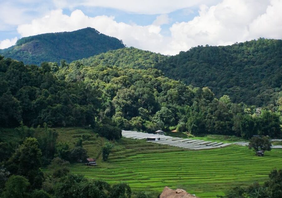 From Chiang Mai: Doi Inthanon National Park Day Trip & Hike - The Hmong market stop: quick, useful, and great for snacks