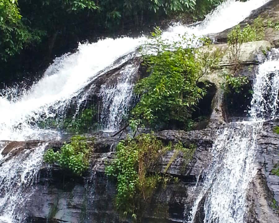 From Chiang Mai: Doi Inthanon National Park Day Trip & Hike - Lunch at the Royal Project restaurant: a practical fuel-up