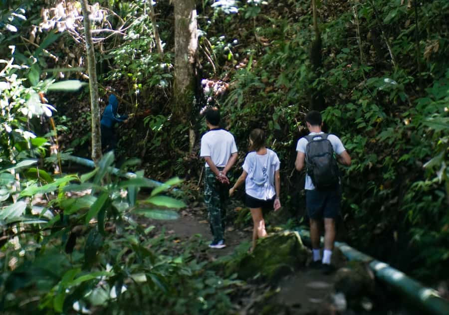 From Chiang Mai: Doi Inthanon National Park Day Trip & Hike - Mae Klang Luang plus the Karen Hill Tribe Village: coffee and culture at the end