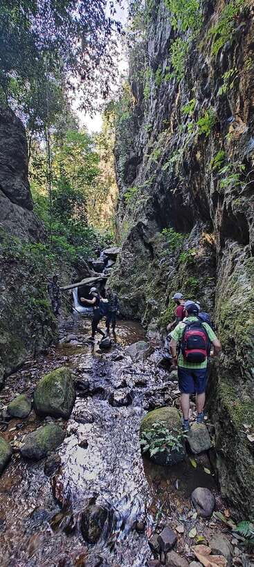 From Chiang Mai: Doi Saket Hiking Tour with Lunch - Why This Doi Saket Jungle Hike Works Better Than Most Chiang Mai Tours