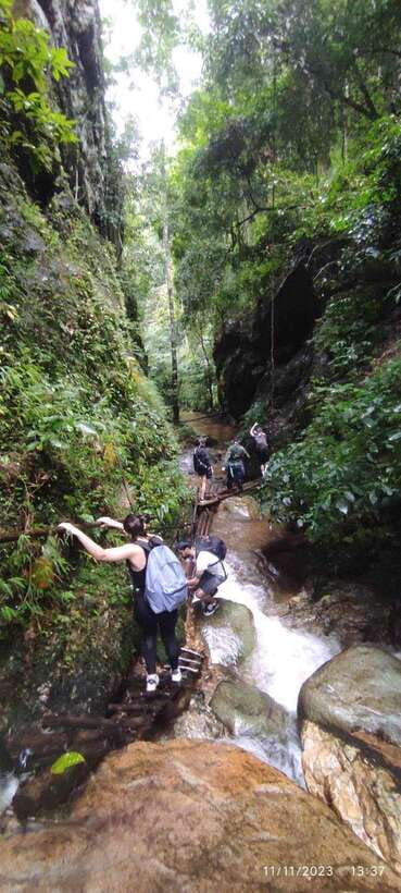 From Chiang Mai: Doi Saket Hiking Tour with Lunch - The Real Trek: 5 Hours Through Dense Jungle, Ancient Trees, and Technical Bits